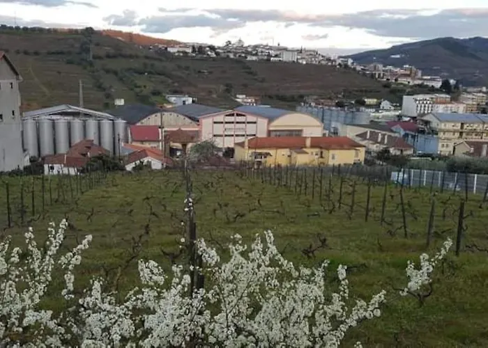 Casa Moscatel - Douro Valley