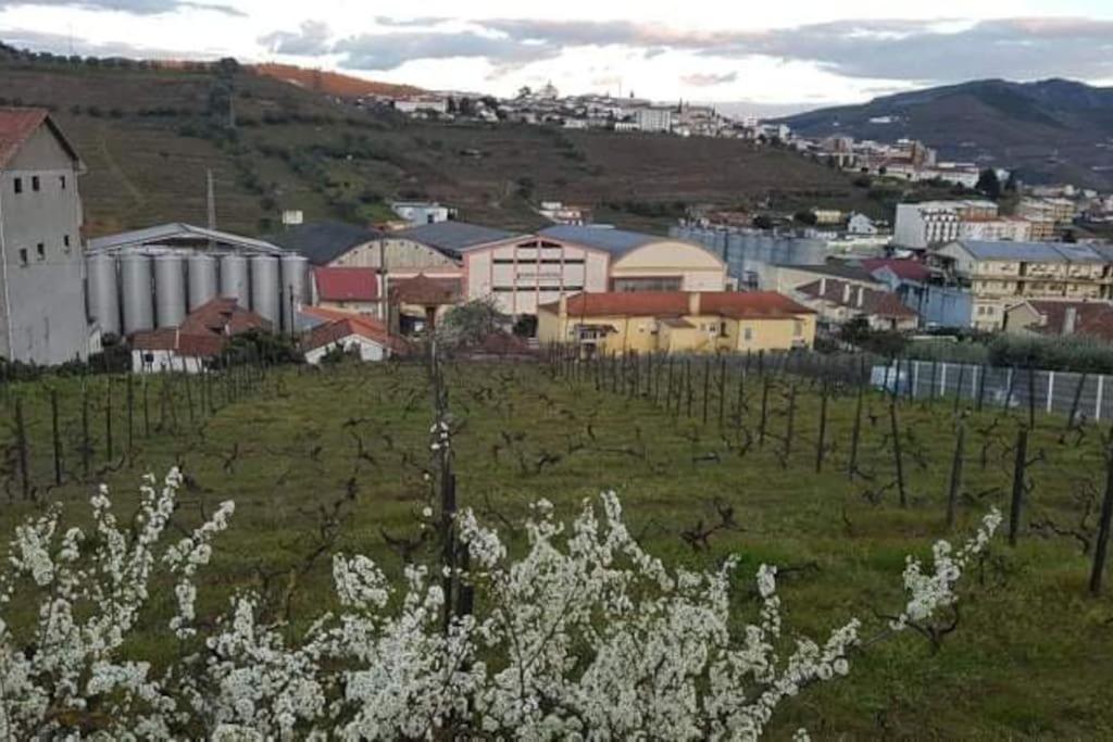 Apartment Casa Moscatel - Douro Valley Peso da Regua