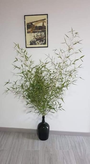 Apartment Casa Moscatel - Douro Valley *